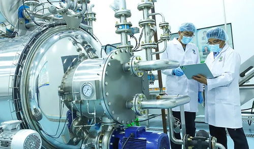 科技赋能植物工厂，张掖农特产品提质增效