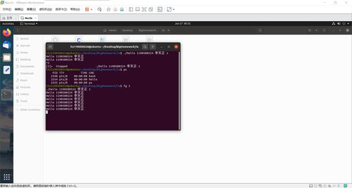 哈尔滨工业大学计算机系统大作业 程序人生——从Hello World到P2P网络
